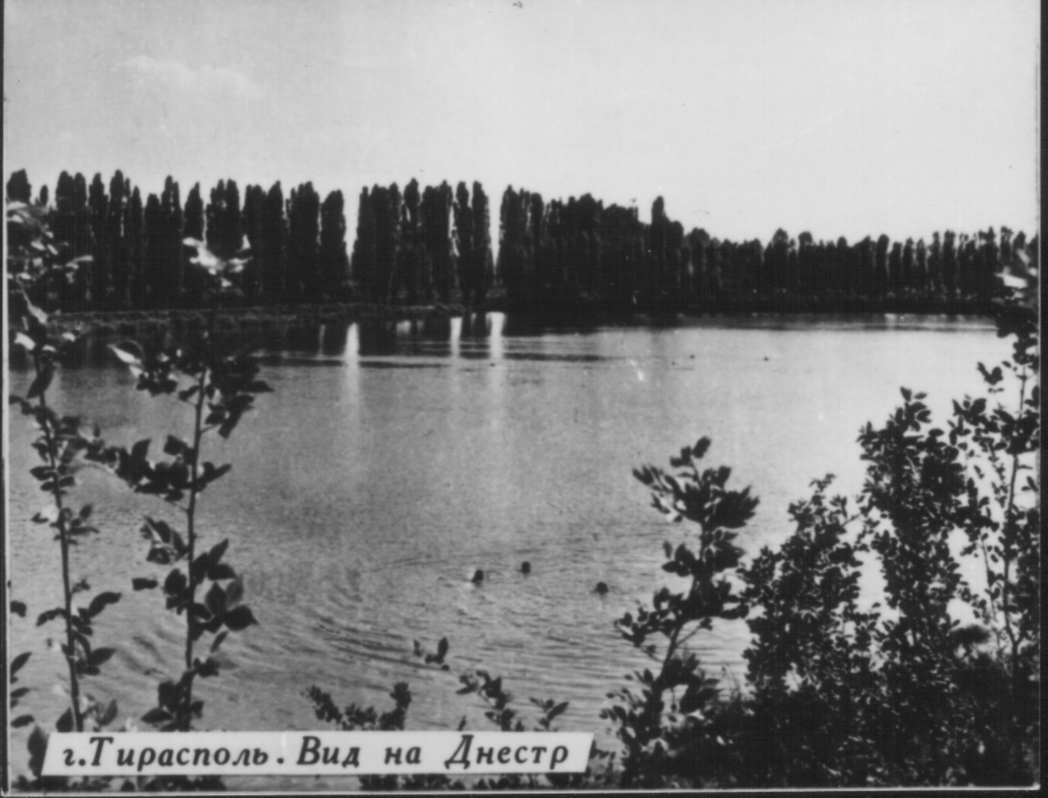 Вид на Днестр